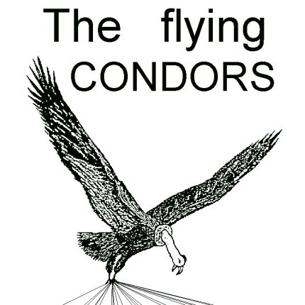 Logo von The flying Condors GbR