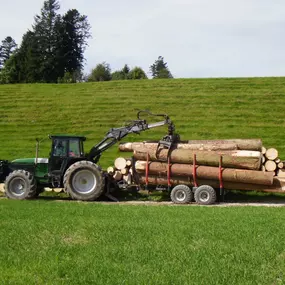 Bild von Gerber Garten - Spezialholzerei