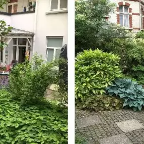 Bild von Creative Gartengestaltung - Freiraumplanung & Grünkonzepte Carsten Hotz