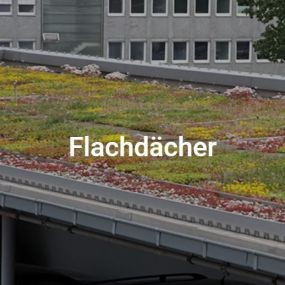 Bild von Bock Dach und Bau GmbH Dachdeckerei & Spenglerei