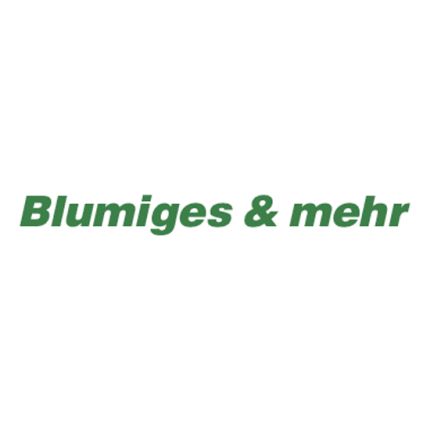 Logo od Blumiges & mehr