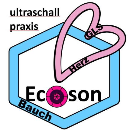 Logo fra Ultraschallpraxis by ecoson