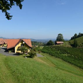 Weingut