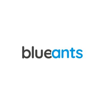 Logotyp från blueants Süd GmbH