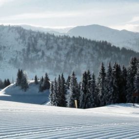 Das Skigebiet im Snow Space Salzburg | Flachau, Wagrain & Alpendorf
