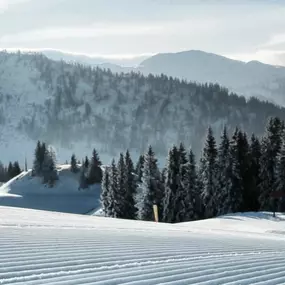 Das Skigebiet im Snow Space Salzburg | Flachau, Wagrain & Alpendorf