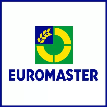 Logo from Euromaster Zürich 2