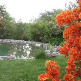 Bild von Sieber Naturnaher Gartenbau GmbH