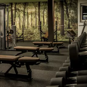 Fitness First Wäschenbeuren - Freeweight Area