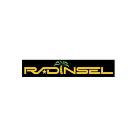 Logo od RADINSEL GmbH
