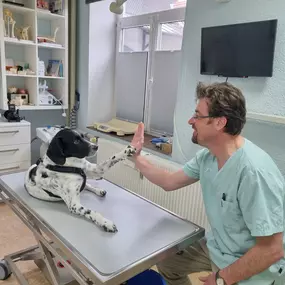 Bild von Dr.med.vet. Andre Synilo Tierärztliche Praxis