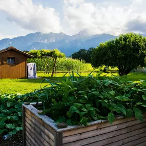 Bild von Hänni Gartenbau AG