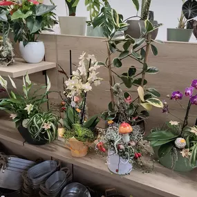 Bild von Blumenscheune