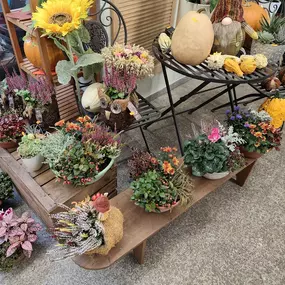 Bild von Blumenscheune