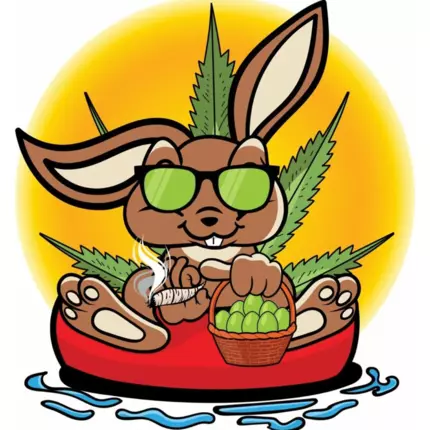 Logo von CBD-Hase