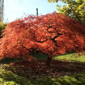 Bild von L'Eco des Jardins