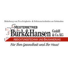 Bild/Logo von Burk & Hansen GmbH & Co. KG in Bergisch Gladbach