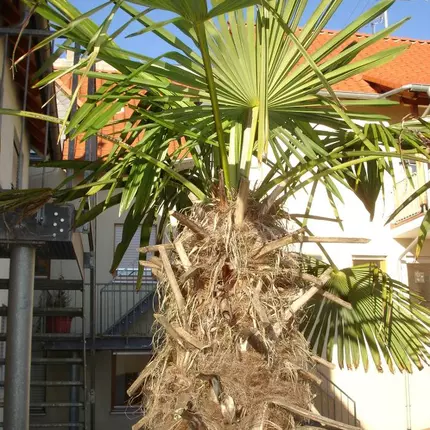 Λογότυπο από Ferienwohnungen Volk Dossenheim