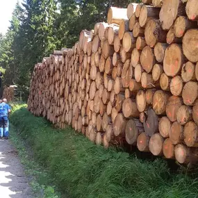 Bild von Sägewerk Andreas Weiß
