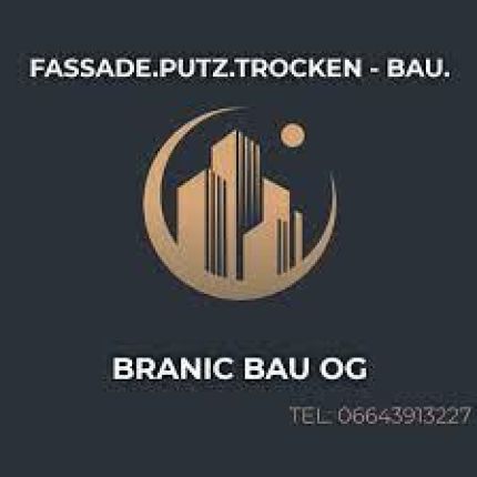 Logo van Branic Bau OG