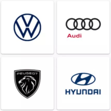 Logo da Werkstatt VW, Audi, Peugeot, Hyundai