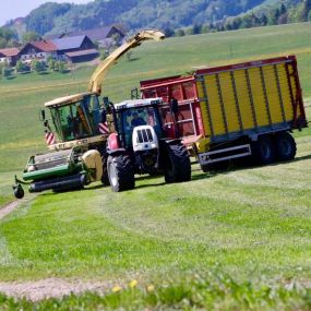 Agrarservice Gollackner GmbH

Ihr Lohnunternehmen aus Eugendorf für Salzburg und OÖ