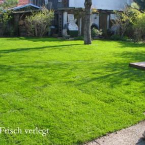 Rollrasen frisch verlegt_Werner Anderlik Garten- und Landschaftsbau GmbH