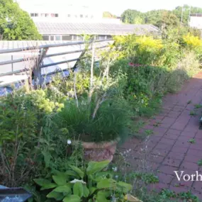 Vor der Dachbegrünung_Werner Anderlik Garten- und Landschaftsbau GmbH