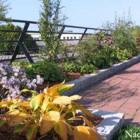 Nach der Dachbegrünung_Werner Anderlik Garten- und Landschaftsbau GmbH