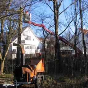 Baumentastung_Werner Anderlik Garten- und Landschaftsbau