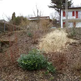 Bild von GMH Gartengestaltung