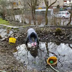 Bild von GMH Gartengestaltung