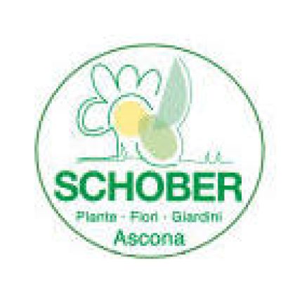 Logotyp från Schober Giardini