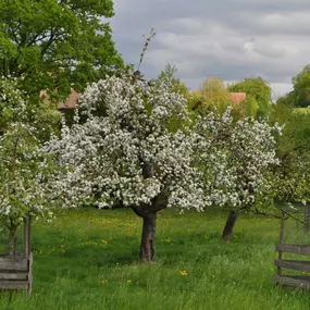 Bild von Bartlome Gartenbau und Unterhalt