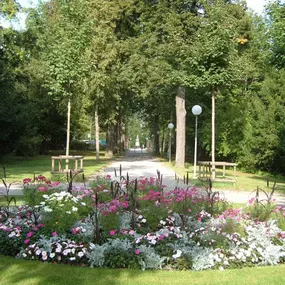 Bild von Grün Schaffhausen