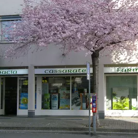 Bild von Farmacia Cassarate