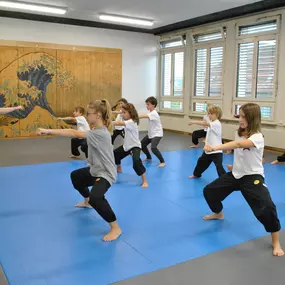 Bild von SUN WU Gongfu Schule Zürich