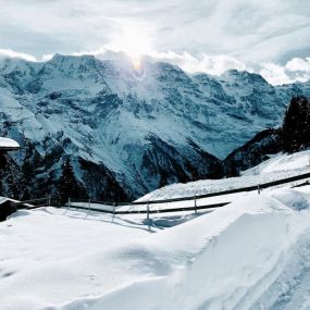 Bild von Taxi De Luxe Interlaken