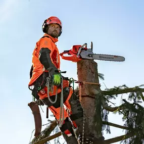 Husqvarna Austria GmbH - Motorsägen