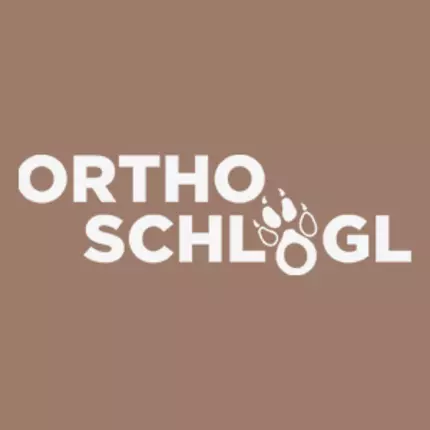 Logo de Orthopädie & Schuhmachermeister Wild-Schlögl Robert