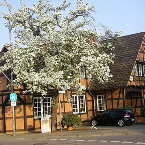 Bild von Gasthaus + Hotel Bähre