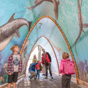 Bergbahnen Steinplatte Waidring/Triassic Park