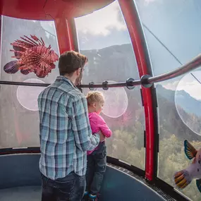 Bergbahnen Steinplatte Waidring/Triassic Park