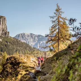 Bergbahnen Steinplatte Waidring/Triassic Park