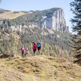Bergbahnen Steinplatte Waidring/Triassic Park