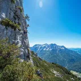 Bergbahnen Steinplatte Waidring/Triassic Park