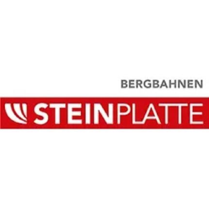 Logotyp från Bergbahnen-Steinplatte Waidring