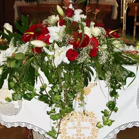 Blumen Schonsky in Mödling