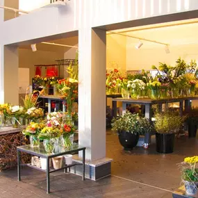 Blumen Schonsky in Mödling - Außenansicht
