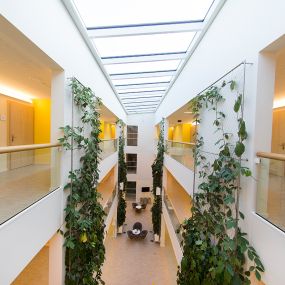 Moderne Architektur im Therapiezentrum Justuspark
(© Josef Schimmer)